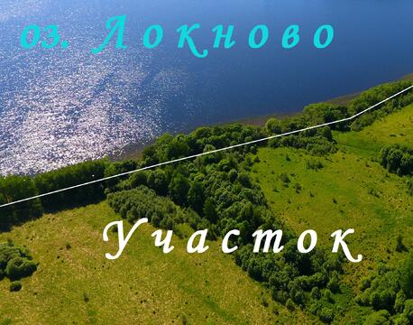 Мыс на озере Локново площадью 41 Га + берег 1 км