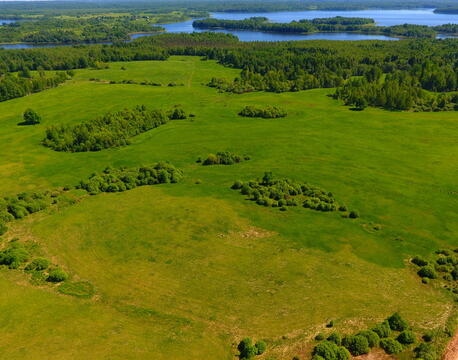 Большая поляна на берегу озера Локново.